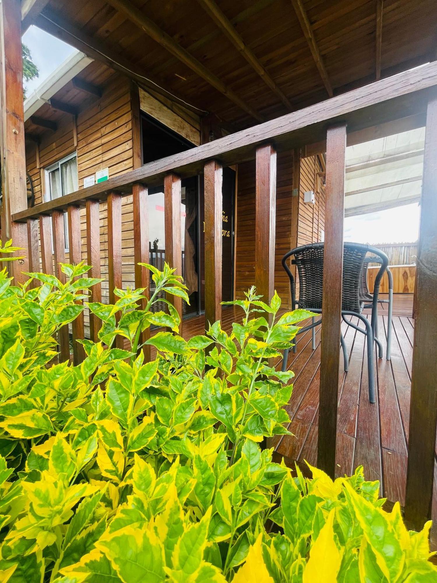 Entre Verdes Hotel & Glamping Ebejico Exterior photo
